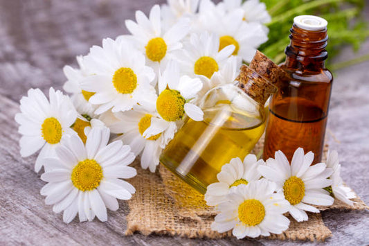 Using Aromatherapy Oils for Emotional Wellness