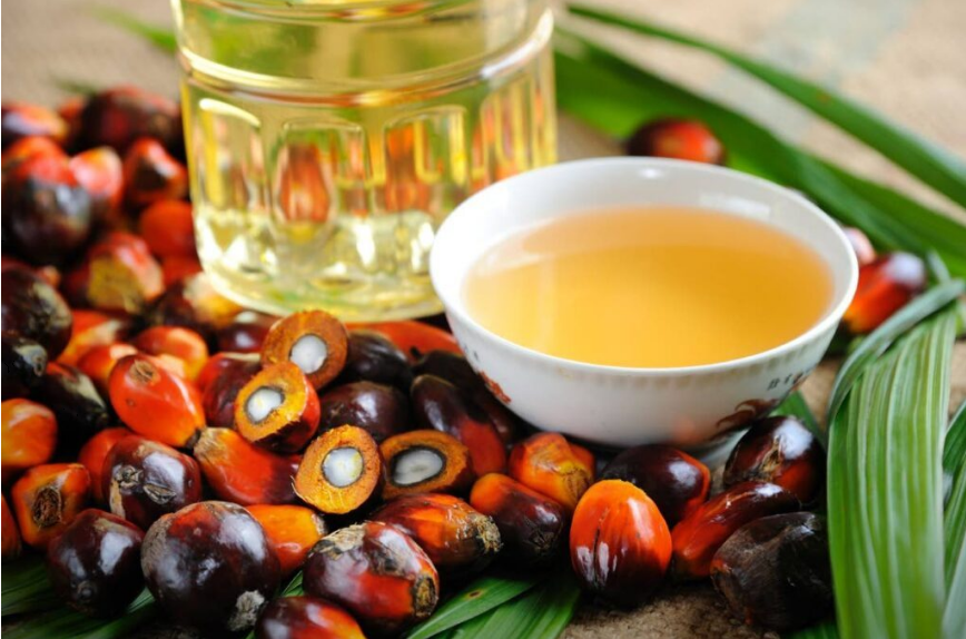 Why everyone’s talking about batana oil – from ancestral wisdom to modern haircare hero