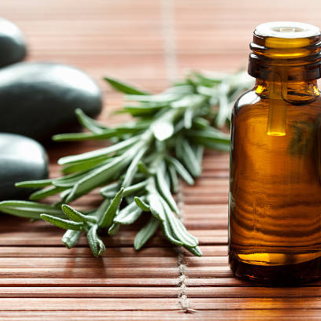 Rosemary Oil…..does it really promote hair growth?