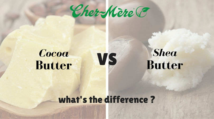 Cocoa Butter Vs Shea Butter what's the difference ?